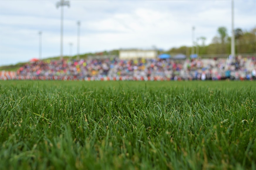 stadio con erba.jpg